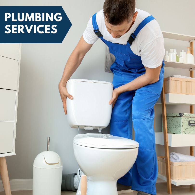 Plumbing Company in River Grove, IL